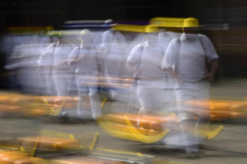Alkmaar, le-marché-au-fromage 4   JJA9459