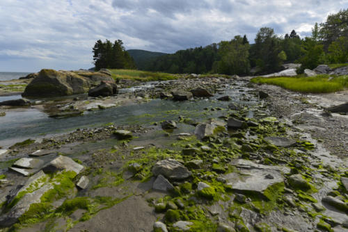 Port-au-Persil   JPG6822