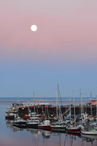 Le-Port-de-plaisance-de-Tadoussac   JPG7253