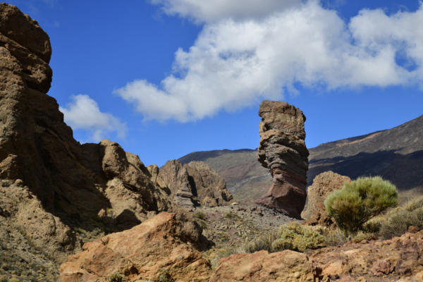 Roque-Cinchado   JJN6378